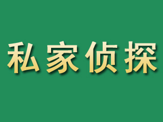 河源市私家正规侦探